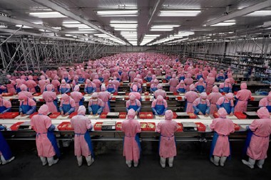 Burtynsky